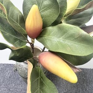 M562 hecho a mano lujoso Multi colores Real Touch seda <span class=keywords><strong>Magnolia</strong></span> hoja y ramas para boda Día <span class=keywords><strong>de</strong></span> la madre decoraciones <span class=keywords><strong>de</strong></span> Navidad - Product Image 5