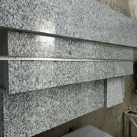 Prix compétitif, marches en granit poli G602, marches en granit gris avec antidérapant