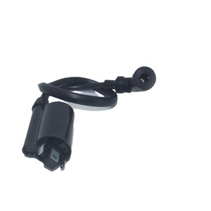 Bobine d'allumage de moto Xsan pour Arctic Cat 250 Dvx 2006-2009, pièce de rechange pour bougie d'allumage monocylindre - Product Image 4