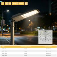 Lampadaire LED AC 100W IP66 avec lentille PC en alliage d'aluminium OUTLUX G039E ORCA pour croisements/autoroutes/places publiques/bordures de routes/aires de stationnement