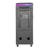Enceinte Bluetooth portable multifonction Diamond Private Model avec double woofer de 8 pouces, 2 voies, éclairage LED Aurora Starlight RVB, chariot avec USB