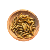 Ligne de production d'œufs de mouche des blésoirs (BSFL) séchés à haute teneur en protéines, vente en gros directe d'usine pour l'alimentation des volailles, des poissons et des poissons d'aquarium
