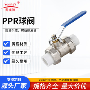 Guangdong Magnesium Special Ball Valve 1/2 In Thread Manual Water Control With Copper Ball And Rod For PPR Pipe - Product Image 5