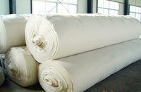 Géotextile non tissé aiguilleté à fibres courtes anti-corrosion à prix compétitif pour la protection des pentes et les projets de décharges