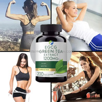Ausreson OEM Extracto de Té Verde EGCG, Quemador de Grasa Adelgazante, Suplemento Energético Vegano Natural, L-Carnitina, Cápsulas de Té Verde Matcha