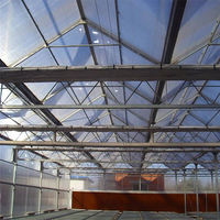 Vente directe en usine Grande serre de jardin avec cadre en aluminium et toit en polycarbonate pour la culture de légumes