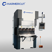 2025 nouvelle presse plieuse CNC 20T 1000mm Mini Servo entièrement automatique Mini presse plieuse électrique