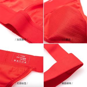 Pantaloni bikini sexy da uomo alla moda in cotone elasticizzato da uomo - Product Image 6