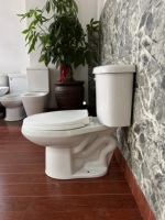 Ensemble WC deux pièces allongé en céramique, cuvette de toilette à poser au sol avec siphon en S, design moderne et motif de drainage pour salle de bain