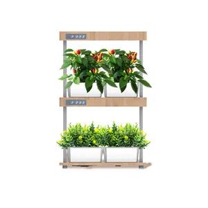 Led Light Grow IGS-09 Indoor Hydroponic Growing System With Real Bamboo Frame 2 Layer 32pods Hidroponic System