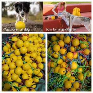 Balle de récompense classique anti-ennui pour chiens, en mousse EVA creuse colorée et durable de 7 cm, avec trou central et corde - Product Image 5