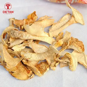 Vân Nam Chất lượng cao khô matsutake nấm Hoang Dã tricholoma matsutake