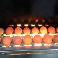 Taille des œufs de poulet, trieur de poids, trieuse automatique à petite échelle trieuse Machine de qualité des œufs par poids