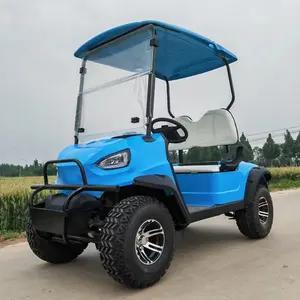 2 Seater 4 Wheel Drive Gas Golf Cart Gasoline 2 Person