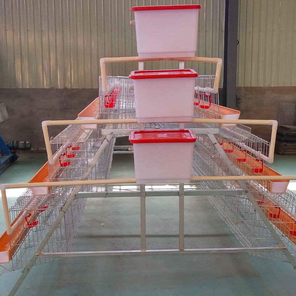 Storage Racks For Poultry Hot Sale Automatic New Poultry Farm Equipment Layer Chicken Cage System ...