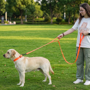 Correa para Perro Ajustable de Doble Bucle a Prueba de Explosiones, Fácil de Controlar, Cinta Resistente Recubierta de PVC con Hebilla Metálica de Liberación Rápida - Product Image 1
