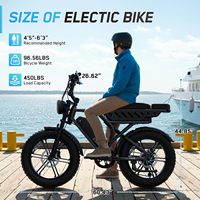 Vélo électrique TST R9 pour adultes, moteur 250W, vélo électrique avec batterie 48V 15AH 25AH, autonomie de 55-190 km, kit de vélo électrique