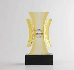 Jadevertu 2024 DIng cam kupa tanıma başarı için liuli kristal kupa feng shui trophy trofeos kristal ödülleri cam