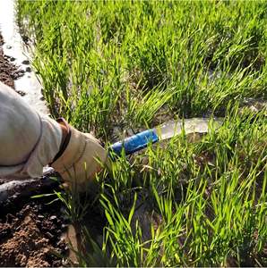 Tuyau plat en <span class=keywords><strong>PVC</strong></span> haute pression, coloré, durable, flexible, léger, résistant aux UV, 2-4 pouces, 50m/100m, pour pompe de <span class=keywords><strong>piscine</strong></span>, agriculture - Product Image 5