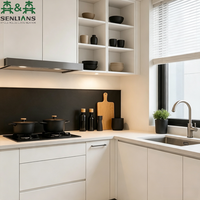 Meubles de cuisine modernes et minimalistes SLS en forme de U, armoires modulaires mates personnalisées avec logement intégré pour appareils électroménagers