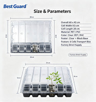 PET Clear Blister Container, Plant Cutting Shipping Box For Potted Plant Seedling Transport