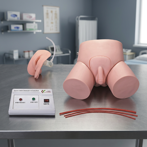 Simulateur d'entraînement à la cathétérisme urétral et aux lavements pour hommes/femmes, modèle Healicom H-D, pour la science médicale (électronique, économique) - Product Image 2