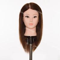 LINDALHAIR Tête de mannequin de coiffure Elite-Caractéristiques du visage européen, cheveux humains vierges, apparence personnalisable pour l'entraînement des cheveux