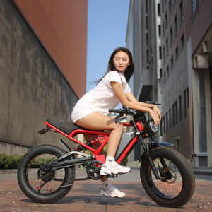 Bicicleta Eléctrica JYOP de Aluminio de 20 Pulgadas, Motor de 750W en la Rueda Trasera, Suspensión Trasera, Frenos de Disco, 7 Velocidades, 48V - Product Image 2