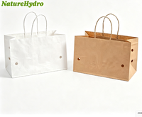 Sacs en papier carrés avec poignée pour raisins frais