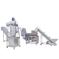 Machine automatique de nettoyage des noyaux de noix, capacité de 1000 kg/h, pour amandes et noix, séparation par densité