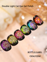 Gel magnétique pour les yeux de chat Vernis à gel de haute qualité pour un vernis à gel parfait pour les yeux de chat