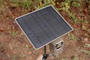 モールトリー-高効率ソーラーパネル電源Pack-10W-Gen 2バッテリー付きトレイルカメラDeer Feeders 7.2v 3350mAh - Product Image 6
