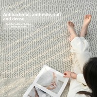Tapis de salon exclusif transfrontalier, sans colle, imperméable, résistant aux taches, moderne, minimaliste, d'inspiration italienne, luxe léger