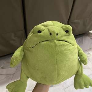 果冻猫瑞奇雨蛙可爱丑陋毛绒玩具儿童节日礼物pp棉填充超柔软舒缓礼物 - Product Image 5