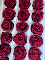 Têtes de roses séchées pour la maison, Saint-Valentin, remise de diplôme, Fête des Mères, DIY, longue durée, ambiance romantique