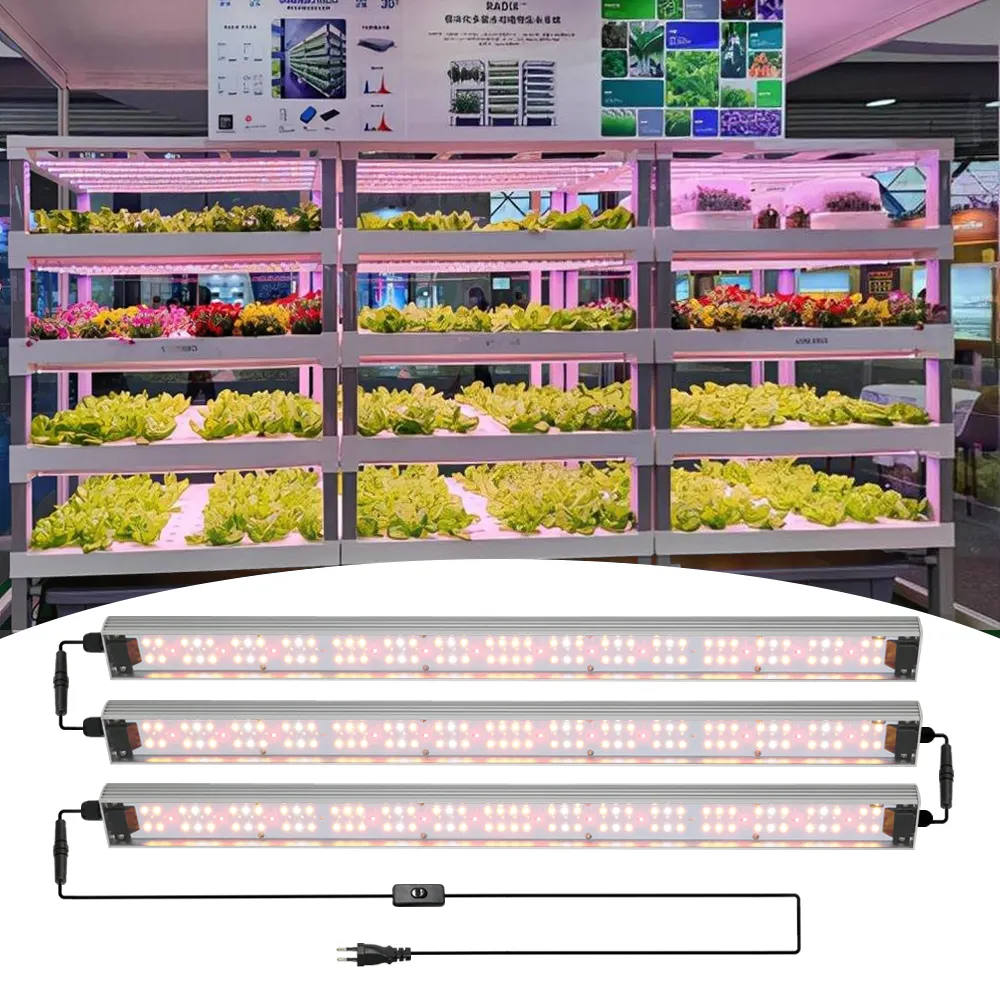 ไฟปลูกพืช LED 3000K 5000K LM301H UV UV UV LED 60W 120W 240W 360W ดีไซน์ใหม่