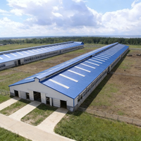 Casa Prefabricada Moderna de Acero para Terneros con Techo Impermeable y Longitud Personalizable para Ganadería