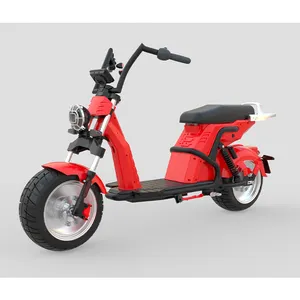 Reserveonderdelen Citycoco Chopper 2000W 60v20ah Max Speed 50 Km/h Elektrische Chopperscooter Met Eec-Certificering