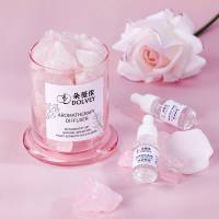 Vente en gros machine à parfum pour la maison four diffuseurs essentiels pour la maison prise murale en verre léger pierre de cristal d'aromathérapie aromatique