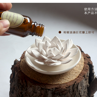 Diffuseur OEM de Cactus blanc diffuseur de parfum et d'huile essentielle diffuseur de porcelaine avec huile essentielle de menthe poivrée
