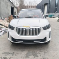 Véhicules électriques SUV EV haute performance, conduite à gauche, 4 roues motrices, longue autonomie et prix bas, nouvelle source d'énergie
