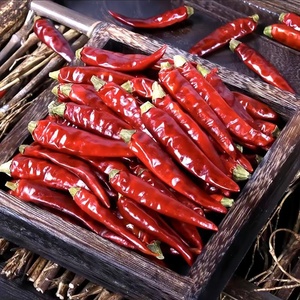 Chile Rojo Dulce Deshidratado, Pimentón en Escamas, Pimiento Crudo Conservado en Agua, Chile Triturado en Proceso de Secado al Aire, Producto Agrícola - Product Image 4