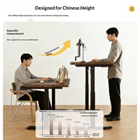 Bureau électrique relevable en bois massif pour la maison, le bureau et l'étude, table d'ordinateur en bois d'hévéa, table de gaming moderne, Chine