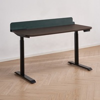 Bureau assis-debout moderne ergonomique pour le télétravail, à double moteur électrique, réglable en hauteur, avec plateau en bois