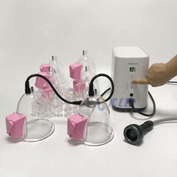 Machine de thérapie sous vide pour les seins, cosmétique rose, appareil chinois avec vibration pour mamelon, succion des fesses et levage du fessier, kddsky