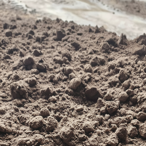 Cenizas volantes ASTM C618 de grado de construcción de la fábrica de Vietnam, enviadas a granel por mar para grandes proyectos de hormigón. - Product Image 1