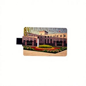 แฟลชไดรฟ์ USB แบบการ์ดไม้พิมพ์ลายได้เอง, เมมโมรี่สติ๊กความเร็วสูง, แฟลชไดรฟ์ขนาดเท่าบัตรเครดิตแบบพกพา - Product Image 3