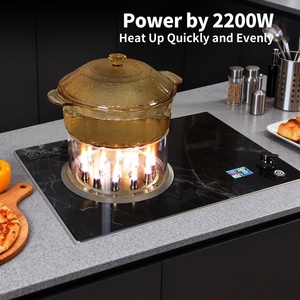 Nueva Placa de Inducción de Acero Inoxidable de 2200W, Integrada, con Panel de Cristal Negro, 9 Niveles de Potencia, Función de Temporizador, para el Hogar - Product Image 6
