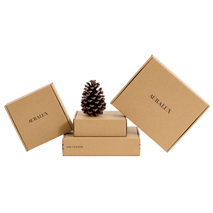 Cajas de Envío de Joyería de Papel Corrugado Ecológicas Auralux, Recubrimiento UV, Relieve, Forro de Esponja, Plegables, Rígidas - Product Image 1