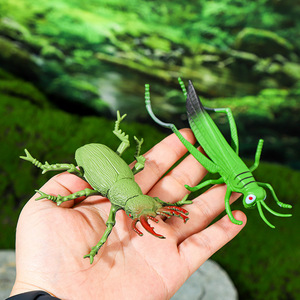 Mini-ensemble d'usine de jouets en plastique : Modèles biologiques d'insectes en PVC (sauterelle, araignée, coléoptère, fourmi et grenouille) – Ornements statiques - Product Image 4